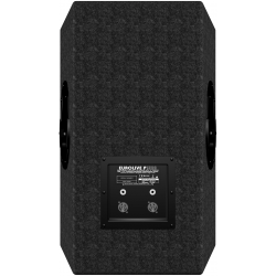 Behringer P1520 Professional 640 Watt PA Speaker