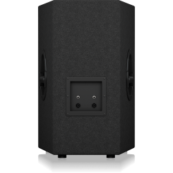 Behringer VP1220F Professional 800-Watt Floor Monitor with 12" Woofer and 1.75" Titanium Compression Driver