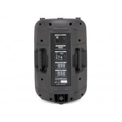 Samson Auro D12 2-Way Passive Loudspeaker